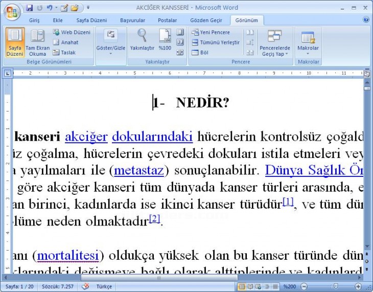 Office 2007 Word Görünüm Menüsü Yakınlaştır Paneli