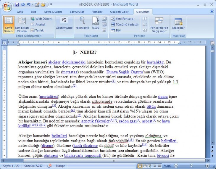 Office 2007 Word Görünüm Menüsü Yakınlaştır Paneli