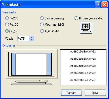 Office 2007 Word Görünüm Menüsü Yakınlaştır Paneli