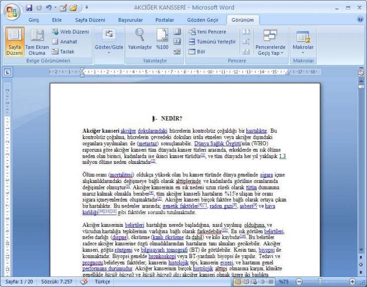 Office 2007 Word Görünüm Menüsü Yakınlaştır Paneli