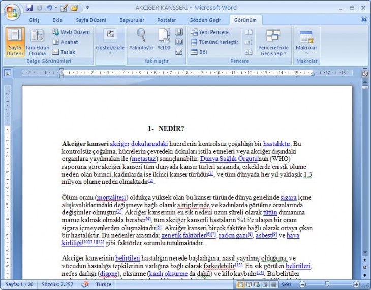 Office 2007 Word Görünüm Menüsü Yakınlaştır Paneli