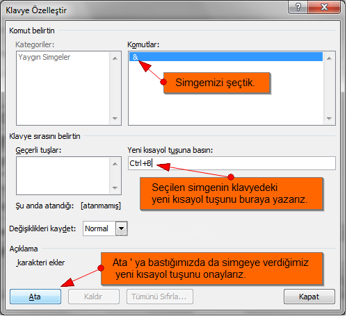 Office 2007 Simge Ekleme
