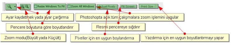 Hand Tool, Zoom Tool, Screen Mode