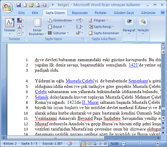 Office 2007 Sayfa Yapısı