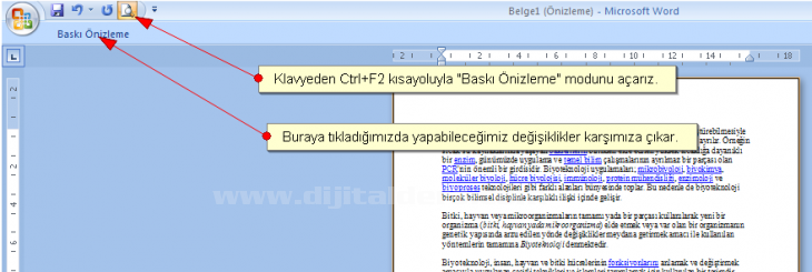 Office 2007 Baskı Önizleme