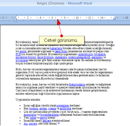 Office 2007 Baskı Önizleme