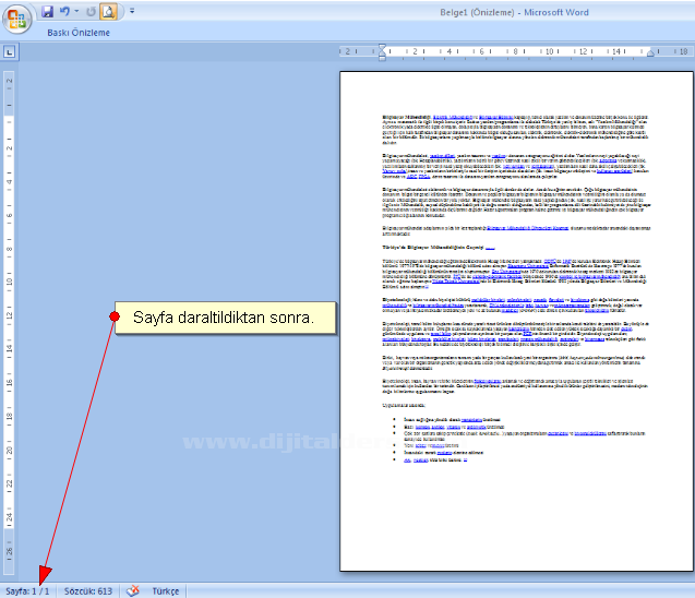 Office 2007 Baskı Önizleme