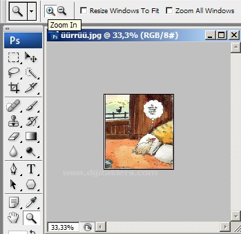 Zoom Tool Resimli Anlatım