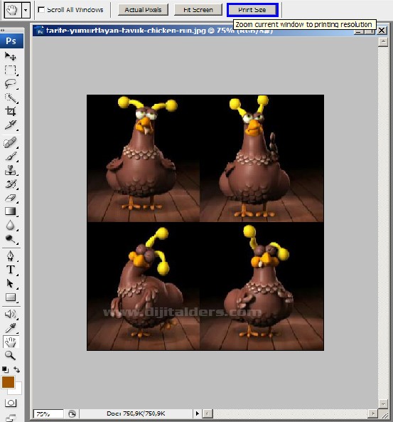 Zoom Tool Resimli Anlatım