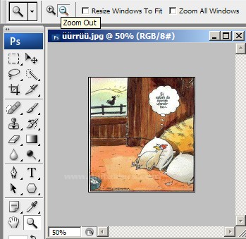 Zoom Tool Resimli Anlatım