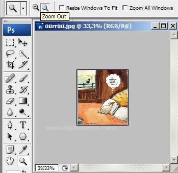 Zoom Tool Resimli Anlatım