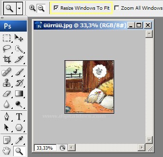 Zoom Tool Resimli Anlatım