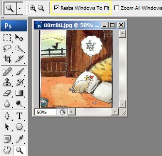 Zoom Tool Resimli Anlatım