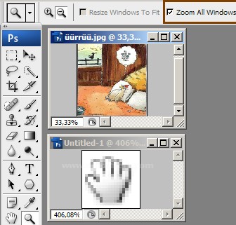 Zoom Tool Resimli Anlatım
