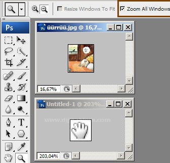 Zoom Tool Resimli Anlatım