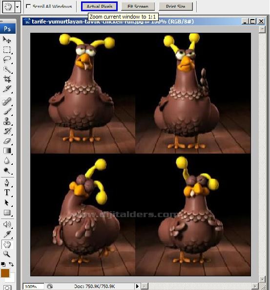 Zoom Tool Resimli Anlatım
