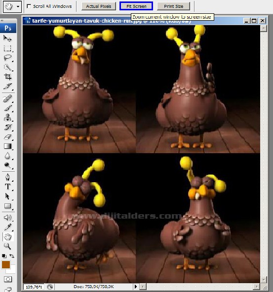 Zoom Tool Resimli Anlatım