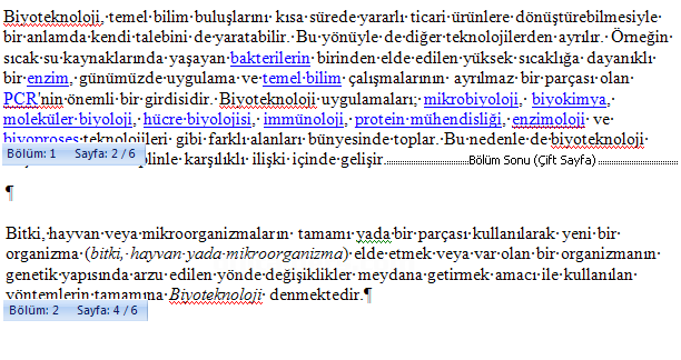 Office 2007 KesmelerKesme oluşturma, Bölüm sonu oluşturma