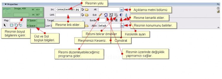 Başlıksız İçerik______________________