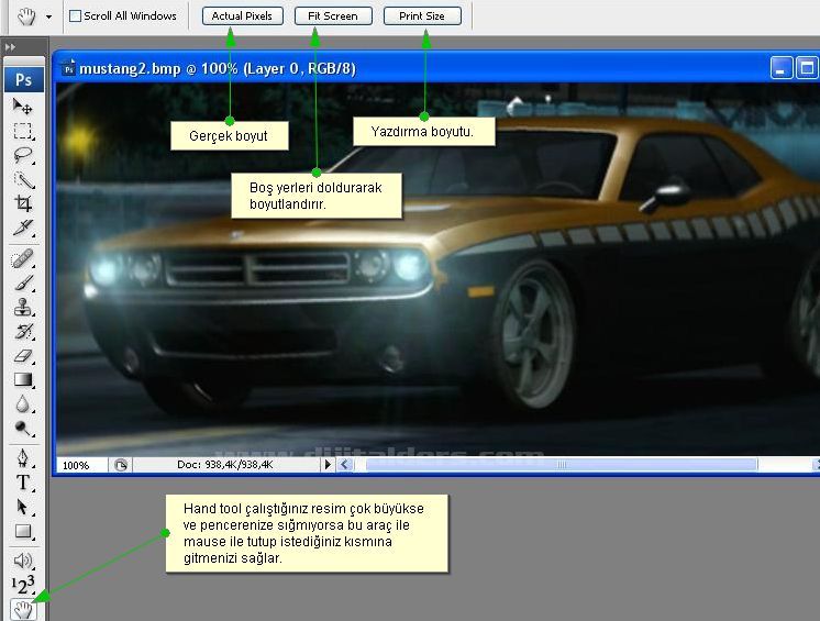 Hand Tool, Zoom Tool, Screen Mode