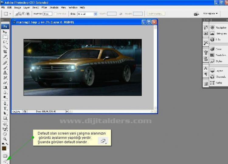 Hand Tool, Zoom Tool, Screen Mode