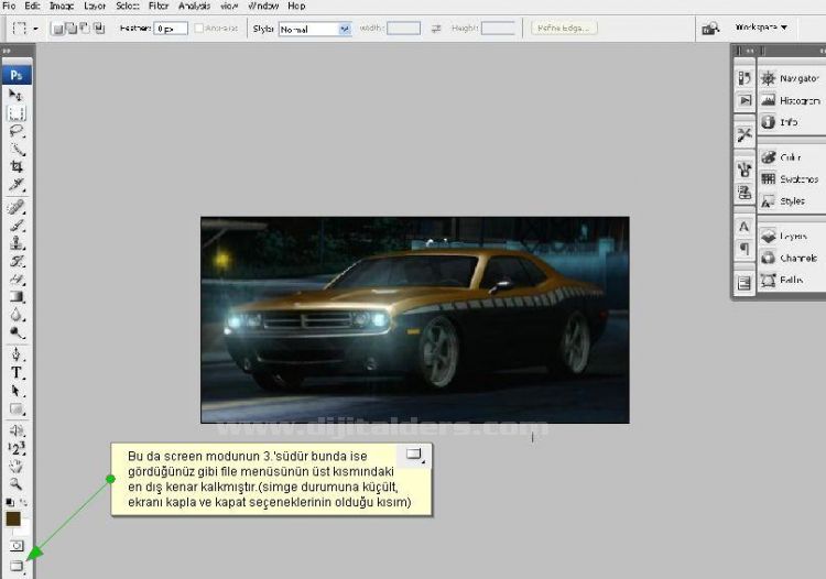 Hand Tool, Zoom Tool, Screen Mode