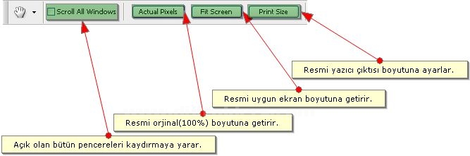Hand Tool, Zoom Tool, Screen Mode