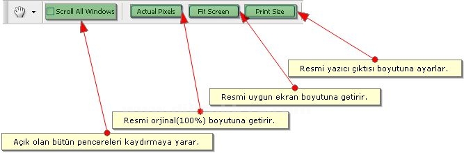 Hand Tool, Zoom Tool,  Screen Mode