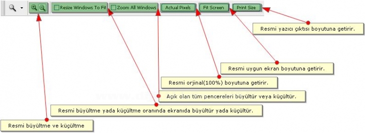 Hand Tool, Zoom Tool, Screen Mode