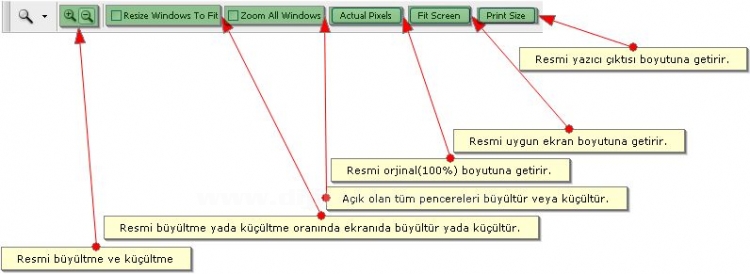 Hand Tool, Zoom Tool,  Screen Mode