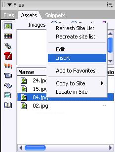 Asset Paneli