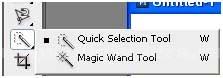 MAGIC WAND TOOL