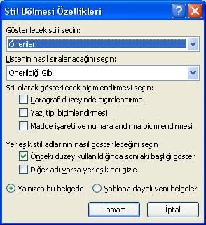 Office 2007 Stiller Penceresi
