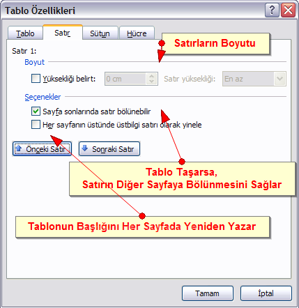 Office 2007 Tablo Özellikleri Penceresi