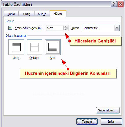 Office 2007 Tablo Özellikleri Penceresi
