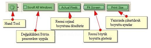 Hand Tool, Zoom Tool, Screen Mode