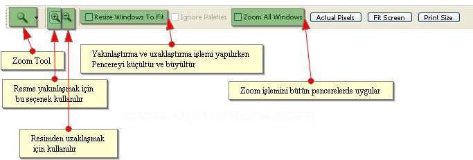 Hand Tool, Zoom Tool, Screen Mode
