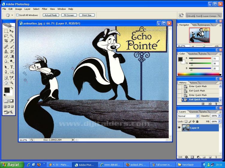 Hand Tool, Zoom Tool, Screen Mode