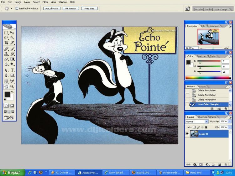 Hand Tool, Zoom Tool, Screen Mode