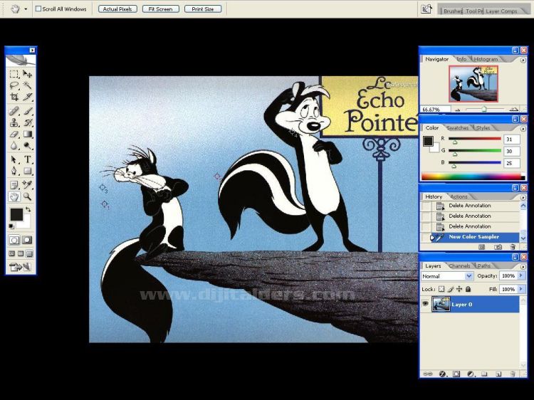 Hand Tool, Zoom Tool, Screen Mode