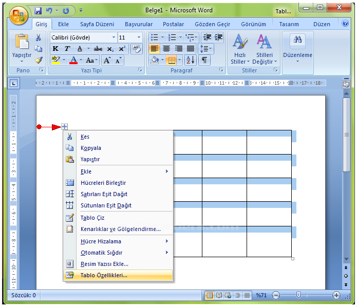 Office 2007 Tablo Özellikleri Penceresi