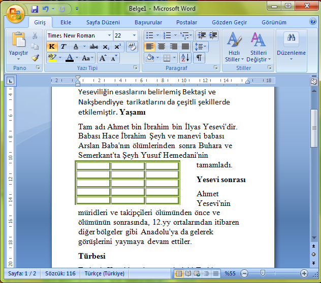 Office 2007 Tablo Özellikleri Penceresi