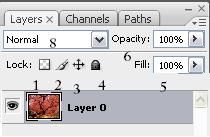 Layer paneli araçları