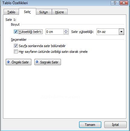 Office 2007 Tablo Özellikleri Penceresi