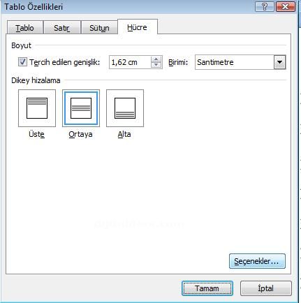 Office 2007 Tablo Özellikleri Penceresi