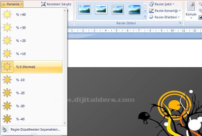 Office 2007 Resim Araçları