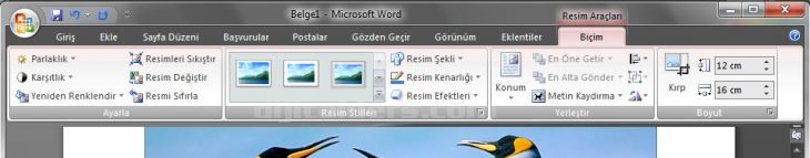 Office 2007 Resim Araçları