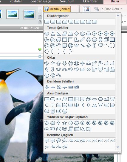 Office 2007 Resim Araçları