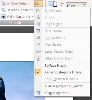 Office 2007 Resim Araçları