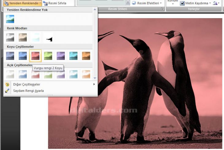 Office 2007 Resim Araçları